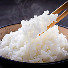 白ごはん(大・中・小)