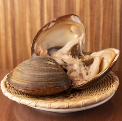 特大！活きほっき貝　１個