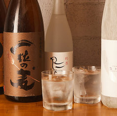 単品飲み放題をご用意!