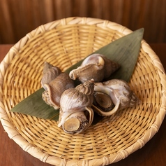 活つぶ貝　２個