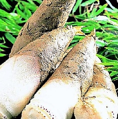 【歓送迎会】　4/1〜4/末まで、京たけのこ祭り。京都　樫原産　幻の白子の筍を使用した、贅沢グルメですの写真