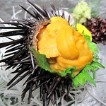 新鮮食材を使用した単品メニューも多数！大人数のご宴会に最適な個室居酒屋です◎