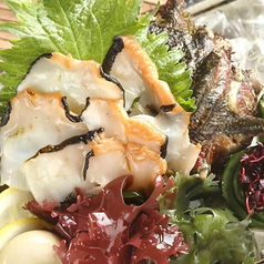 芥屋産活サザエ