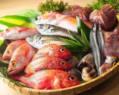 魚屋が経営してる直営の炉端居酒屋