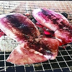 ツボ抜きイカ 1杯