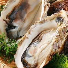 カンラクサカバ 名駅のコース写真