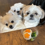 店内ワンちゃんOK♪ワンちゃんメニューもたくさんあります♪