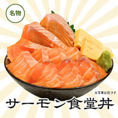 サーモン食堂丼【極】