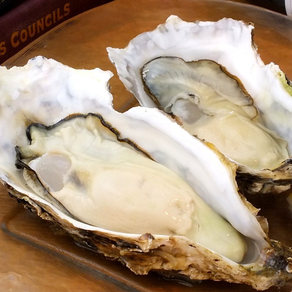 濃厚な旨味と塩味を年中楽しめる◎大粒の「岩牡蠣」と「真牡蠣」を、全国の産地から仕入れてご提供♪