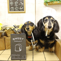 ひまカフェのおすすめポイント1