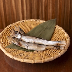 樺太ししゃも　３匹