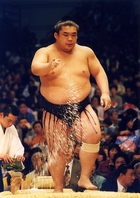 元幕内若孜が惚れたアイスランド産のラム肉