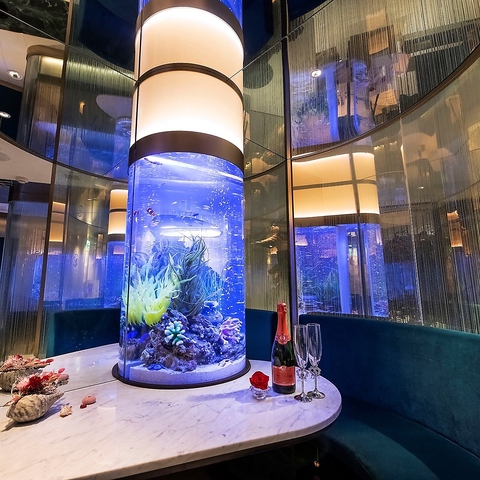 アクアリウムレストラン Nautilus ノーチラス 上野駅前 上野 ダイニングバー バル ネット予約可 ホットペッパーグルメ アクアリウムレストラン Nautilus ノーチラス 上野駅前 上野 ダイニングバー バル ネット予約可 ホットペッパーグルメ