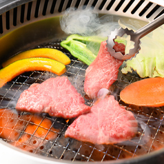 最高級和牛を一頭買い! 名物！カルビが“500”円