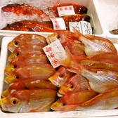 毎日全国から仕入れる新鮮な魚は、海鮮居酒屋ならではの鮮度と旨さ！