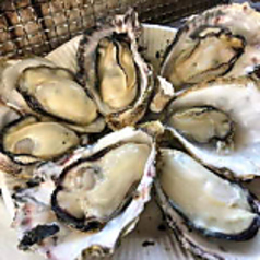 立川 牡蠣basara特集写真1