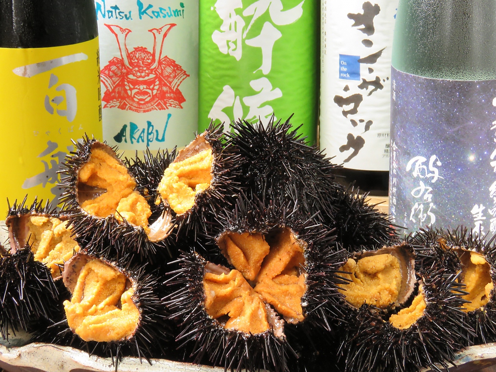 新鮮な海の幸と旨い地酒をどうぞ！！