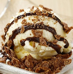 チョコレートバニラ/  Chocolate vanilla icecream