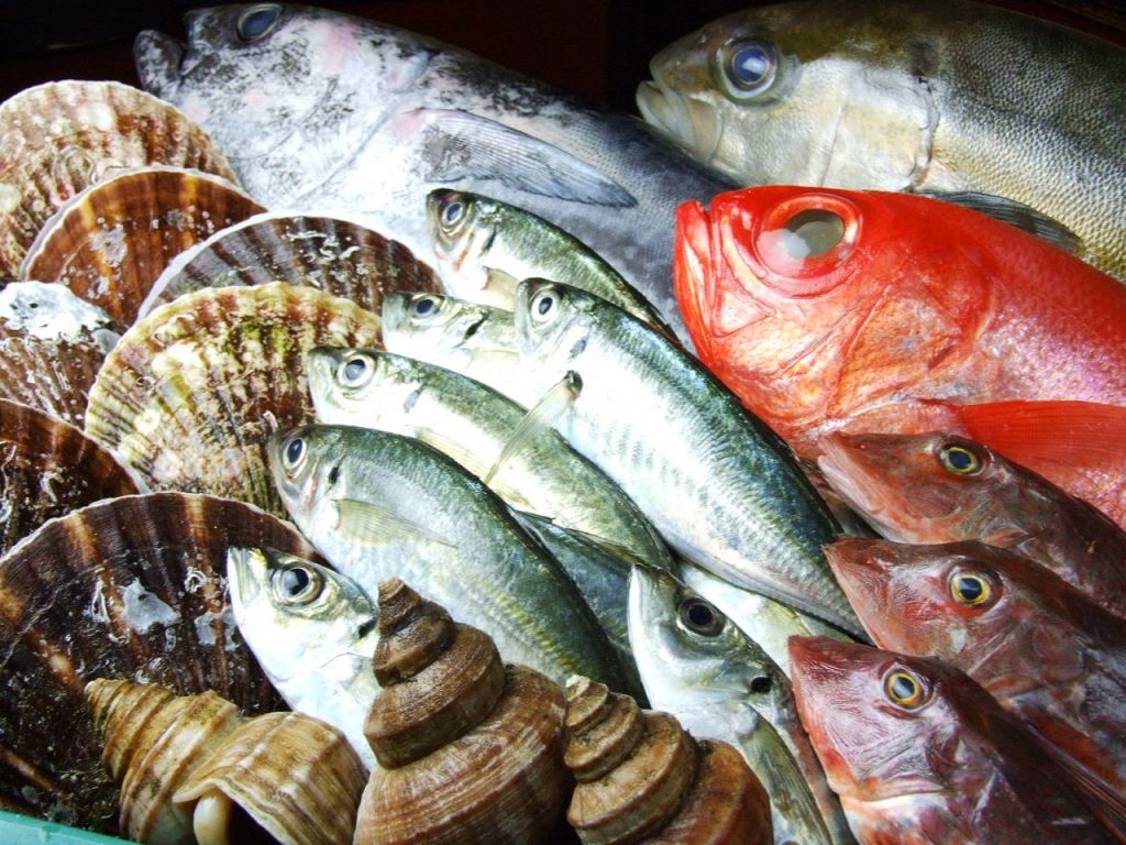 朝獲れの新鮮な魚をお刺身で！旬の魚が豊富なお酒を一緒に楽しめる♪