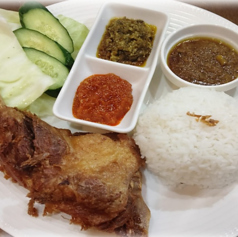 アヒルの素揚げ、新鮮な野菜添え、御飯付き