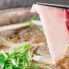 満天酒場 草加店のコース写真