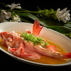 キンキ魚広東風味蒸し|特製発酵唐辛子蒸し|鶏スープ煮