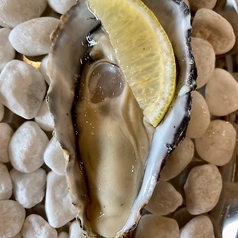 プレーン レモン