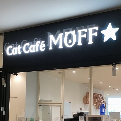 Cat Cafe MOFF グランベリーパーク店の写真