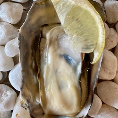 プレーン レモン