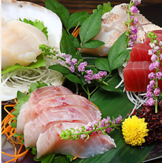 奥羽の宴 上野御徒町の特集写真