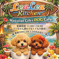 LeaLea kitchen レアレアキッチンの特集写真