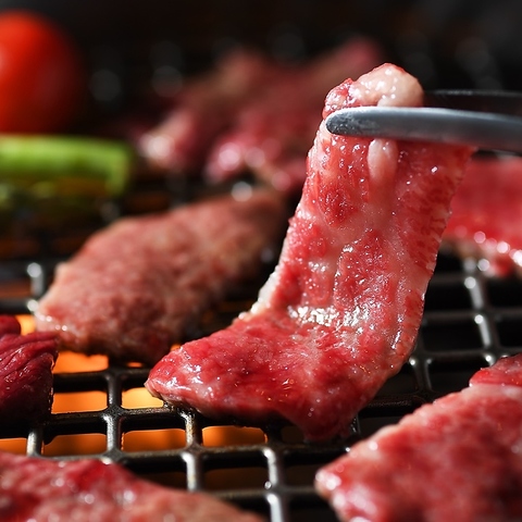 【6月25日オープン】最高の食材を仕入れて、丹精を込めて仕込みを行っております。
