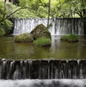 貴船 水源の森 天山のおすすめポイント1