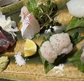料理メニュー写真&nbsp;旬の5種お刺身盛り合わせ