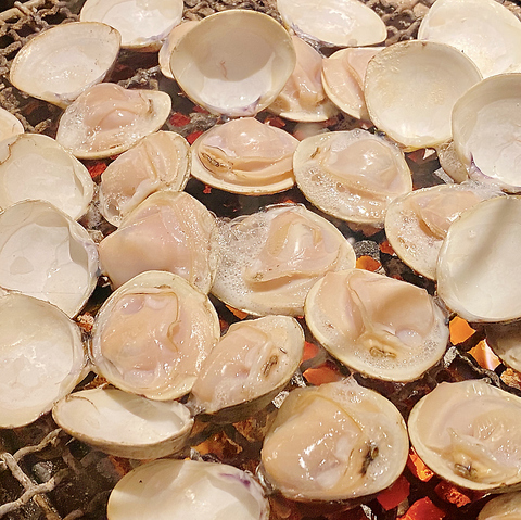 【わんこ焼はまぐり】と日本の旬を楽しむ【和食居酒屋】駅近/半個室/飲み放題