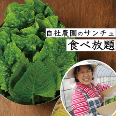 包み野菜食べ放題