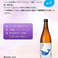 【提供可】酔鯨 特別純米酒 しぼりたて