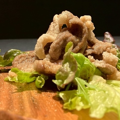 鴨ロース肉のから揚げ