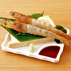 天然海老の刺身【2尾】