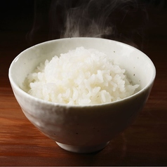 ライス(大) &nbsp;