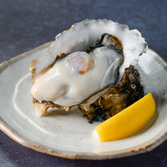 生牡蠣 (産地は日替わり！)