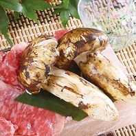 <9月限定>松茸