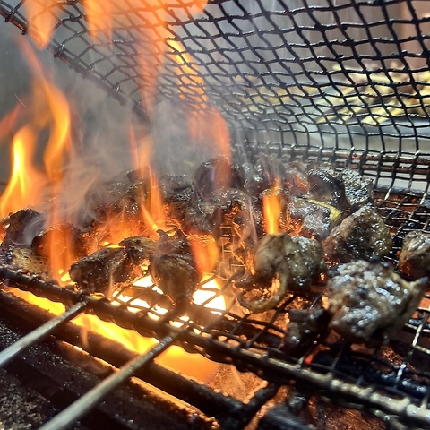 土佐備長炭で焼き上げる自慢の串焼き！串焼きに合うお酒の種類も豊富◎