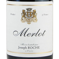 ジョセフ・ロッシュ　メルロー