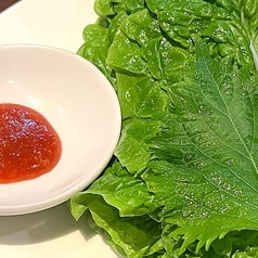 無農薬サンチュ