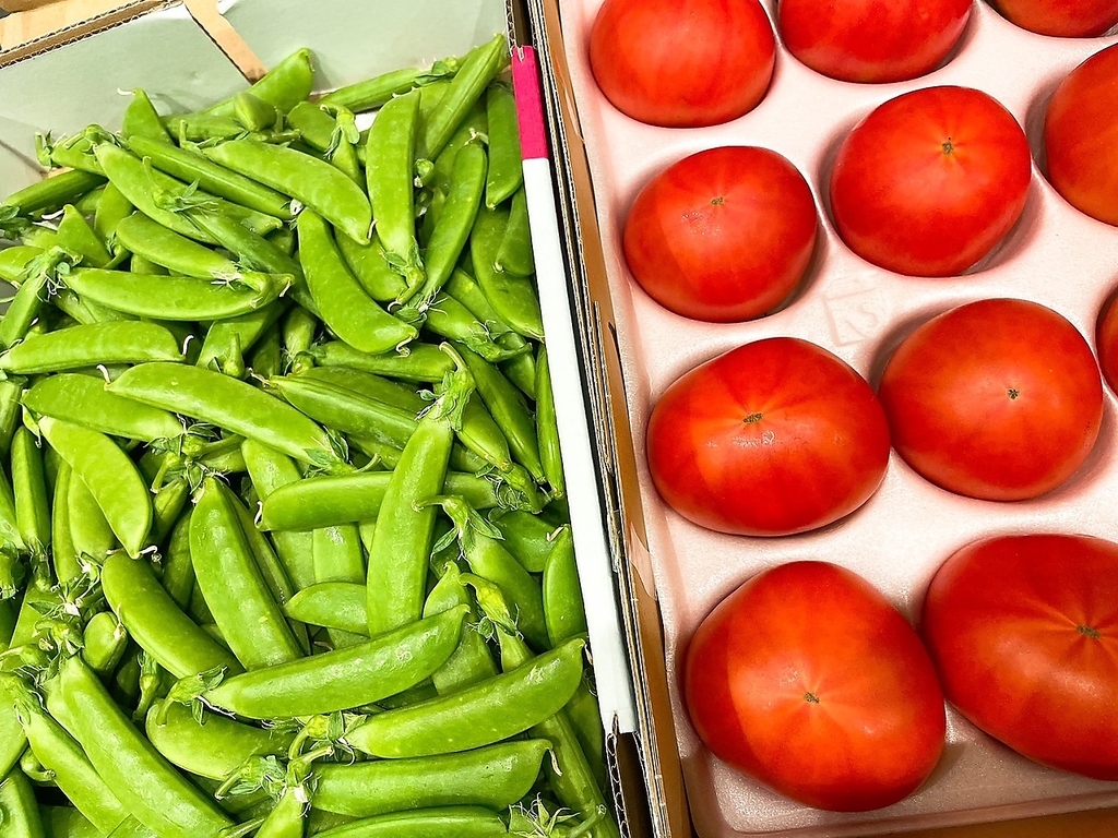 壱笑の写真ギャラリー