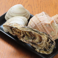【こだわり鮮魚】直送の海の幸を贅沢に味わうお造り