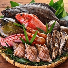 【市場直送】旬の鮮魚と本格海鮮料理