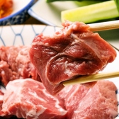 店主が拘って仕入れた豚肉はどれもリーズナブルで美味。ビールにもよく合います。