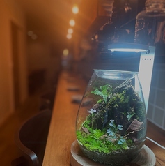 Faro18 ファロイチハチの特集写真